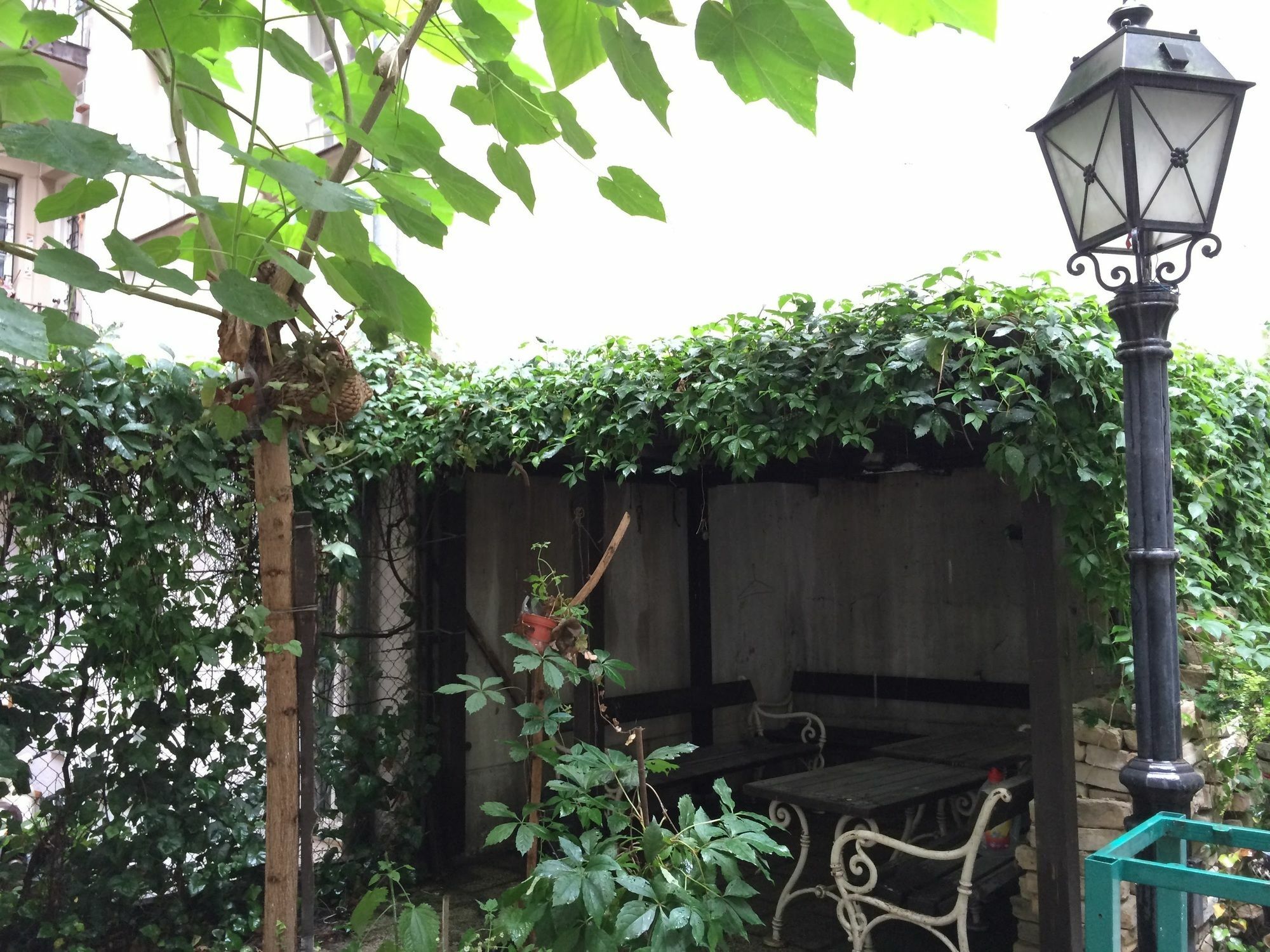 Oasis Of Downtown Appartement